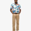 Camisa hawaiana
