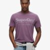 Camiseta con el logotipo de Venue en tonos