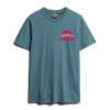 Camiseta con gráfico en el pecho «Great Outdoor» Camiseta con gráfico en el pecho «Great Outdoor»