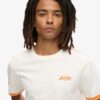 Camiseta Essential Logo Retro Striped Camiseta Essential Logo Retro Striped