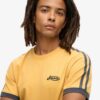 Camiseta Essential Logo Retro Striped Camiseta Essential Logo Retro Striped