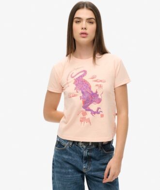 Camiseta Kailash Dragon de Komodo x Superdry