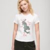 Camiseta Komodo X Superdry Kailash Dragon