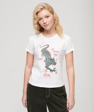 Camiseta Komodo X Superdry Kailash Dragon