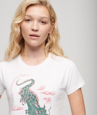 Camiseta Komodo X Superdry Kailash Dragon
