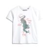 Camiseta Komodo X Superdry Kailash Dragon