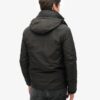 Chaqueta Windcheater Mountain SD