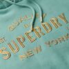 Hooded Metallic Logo Vestido