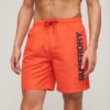 Pantalones cortos reciclados Sport Graphic de 17 pulgadas