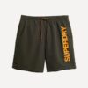 Pantalones cortos reciclados Sport Graphic de 17 pulgadas