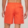 Pantalones cortos reciclados Sport Graphic de 17 pulgadas