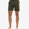 Pantalones cortos reciclados Sport Graphic de 17 pulgadas