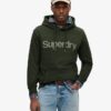 Sudadera con capucha Core Logo City de corte holgado