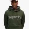 Sudadera con capucha Core Logo City de corte holgado