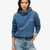 Sudadera con capucha Essential Logo