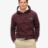 Sudadera con capucha Essential Logo