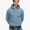 Sudadera con capucha Essential Logo