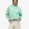 Sudadera con capucha Essential Logo