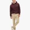 Sudadera con capucha Essential Logo