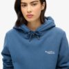 Sudadera con capucha Essential Logo