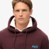 Sudadera con capucha Essential Logo