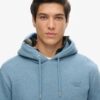 Sudadera con capucha Essential Logo