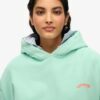Sudadera con capucha Essential Logo
