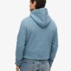 Sudadera con capucha Essential Logo