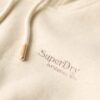 Sudadera con capucha Essential Logo