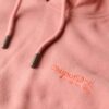 Sudadera con capucha Essential Logo