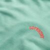 Sudadera con capucha Essential Logo
