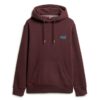 Sudadera con capucha Essential Logo