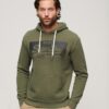 Sudadera con capucha Vintage Box Gradient