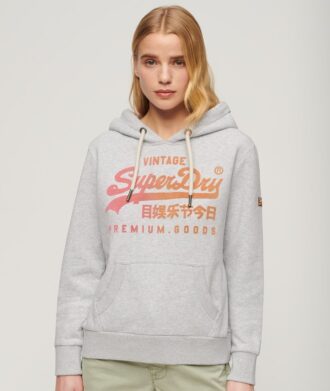 Sudadera con capucha y gráfico del logotipo Vintage en tonos