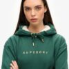 Sudadera con capucha y logotipo metalizado de lujo Sudadera con capucha y logotipo metalizado de lujo