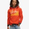 Sudadera con capucha y rayas gráficas Outdoor