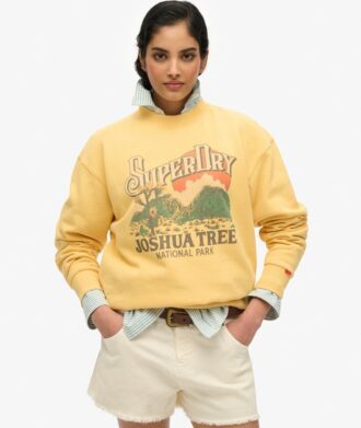 Sudadera holgada con estampado Souvenir
