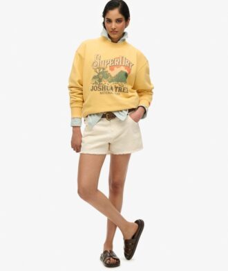 Sudadera holgada con estampado Souvenir