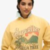 Sudadera holgada con estampado Souvenir