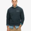 Sudadera holgada Core Logo City